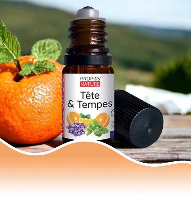 Roll On Tête et Tempes RollOn Bio Kopf und Schläfen von Propos Nature